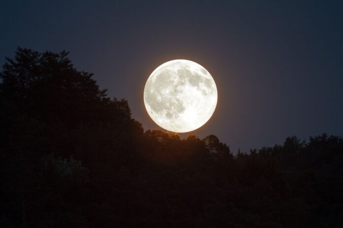 telihold hold full moon holdtölte